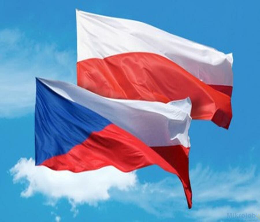 7050Překlady z češtiny do němčiny
